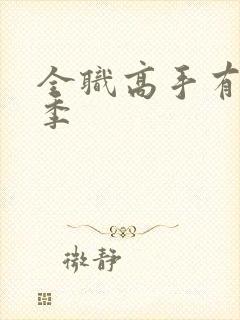 全职高手有第二季