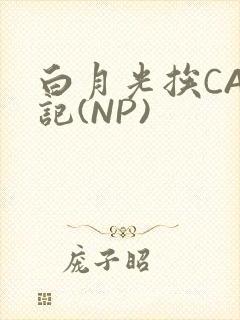 白月光挨CAO记(NP)
