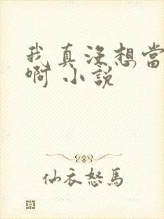 我真没想当反派啊 小说