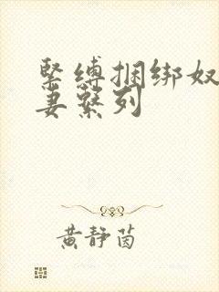 紧缚捆绑奴隶人妻系列