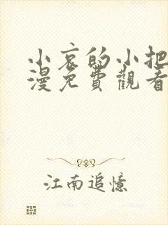 小哀的小把戏动漫免费观看全集高清