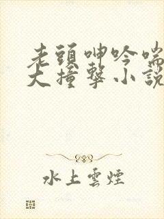 老头呻吟喘息硕大撞击小说