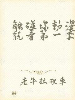 触碰你动漫免费观看第一季全集封面