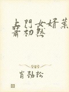 上门女婿叶辰,萧初然封面