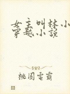 女主叫林小渔的穿越小说