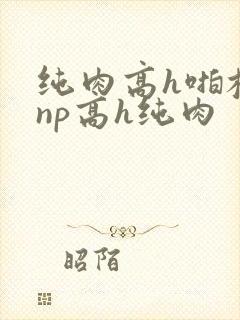 纯肉高h啪校园np高h纯肉