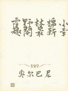 霍野林棉小说笔趣阁最新章节更新
