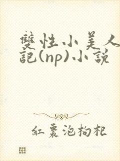 双性小美人受罪记(np)小说