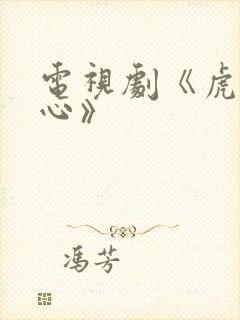 电视剧《虎胆雄心》