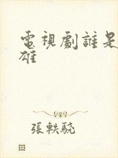 电视剧谁是真英雄封面