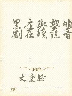 黑夜与黎明电视剧在线观看免费高清