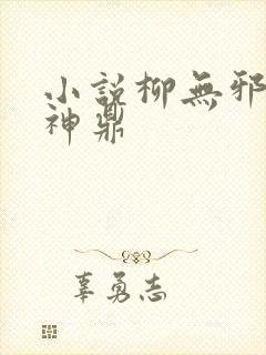 小说柳无邪吞天神鼎