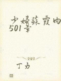 少妇苏霞肉欲第501章