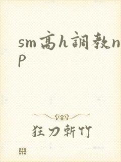 sm高h调教np