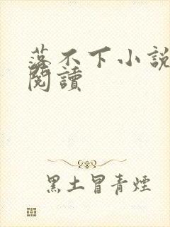 落不下小说全文阅读