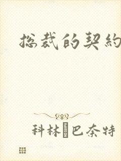 总裁的契约情人