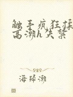 触手疯狂揉肉蒂高潮h失禁