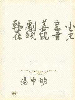 韩剧善良小 子在线观看免费