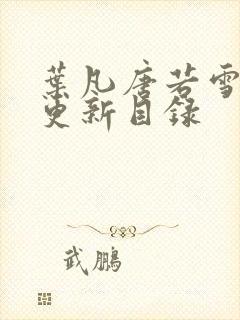 叶凡唐若雪正版更新目录封面