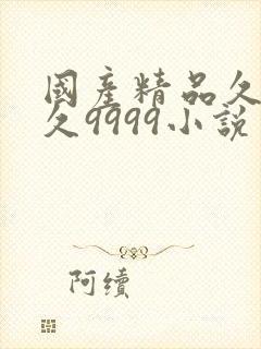 国产精品久久久久9999小说