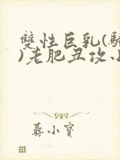 双性巨乳(骚受)老肥丑攻小说