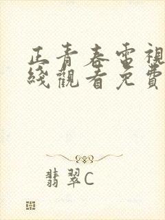 正青春电视剧在线观看免费全集