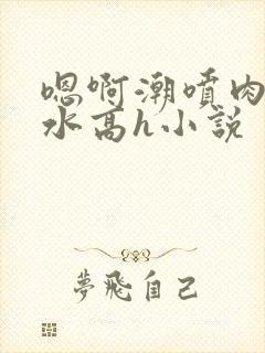 嗯啊潮喷肉失禁水高h小说