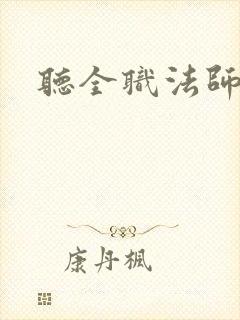 听全职法师小说封面