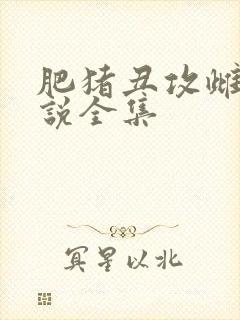 肥猪丑攻雌堕小说全集