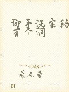 御手洗家的墙上有个洞