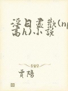 淫日尽欢(np高h)小说