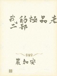 我的极品老婆第二部