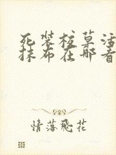 死装校草活该被抹布在哪看