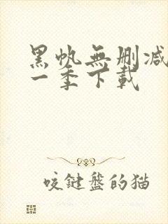 黑帆无删减版第一季下载