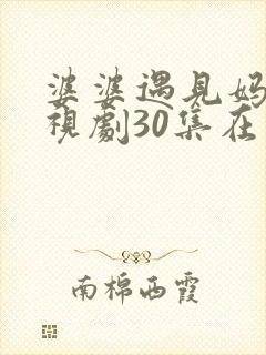 婆婆遇见妈妈电视剧30集在线观看