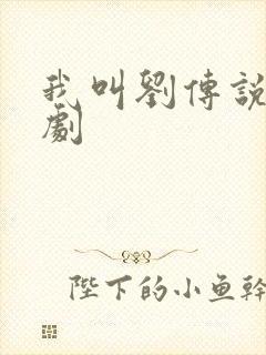 我叫刘传说电视剧封面