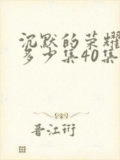 沉默的荣耀一共多少集40集封面