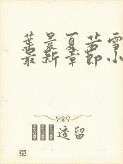 叶晨夏若雪孙怡最新章节小说