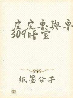 皮皮鲁与鲁西西309暗室