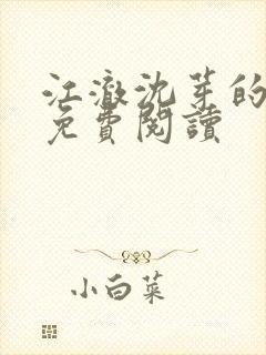 江澈沈芽的小说免费阅读