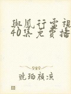 与凤行电视剧全40集免费播放封面