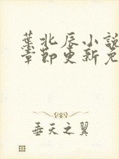 叶北辰小说最新章节更新免费阅读