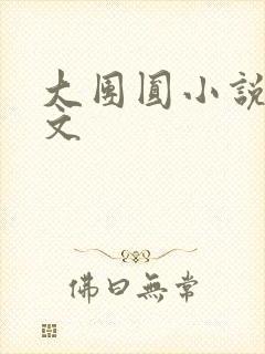 大团圆小说集全文