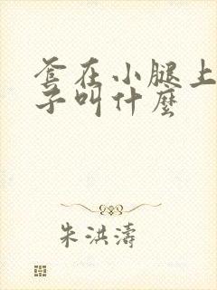 套在小腿上的袜子叫什么