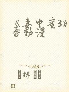 《妻中蜜3》里番动漫封面