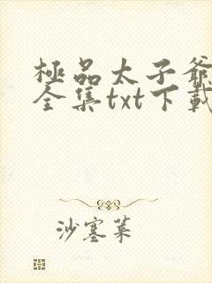 极品太子爷下载全集txt下载