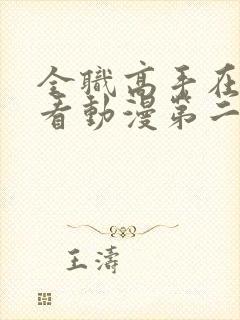 全职高手在线观看动漫第二季