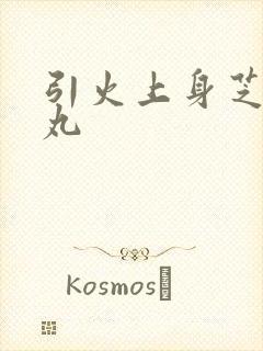 引火上身芝麻糖丸