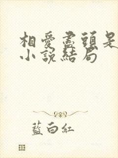 相爱尽头是相忘小说结局