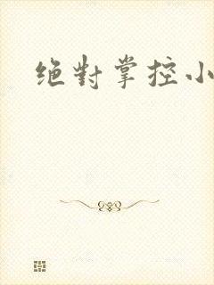 绝对掌控小说